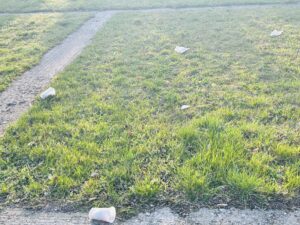 Umweltschutz, Naturschutz und Müllvermeidung von Club Einstein – VS Münchendorf